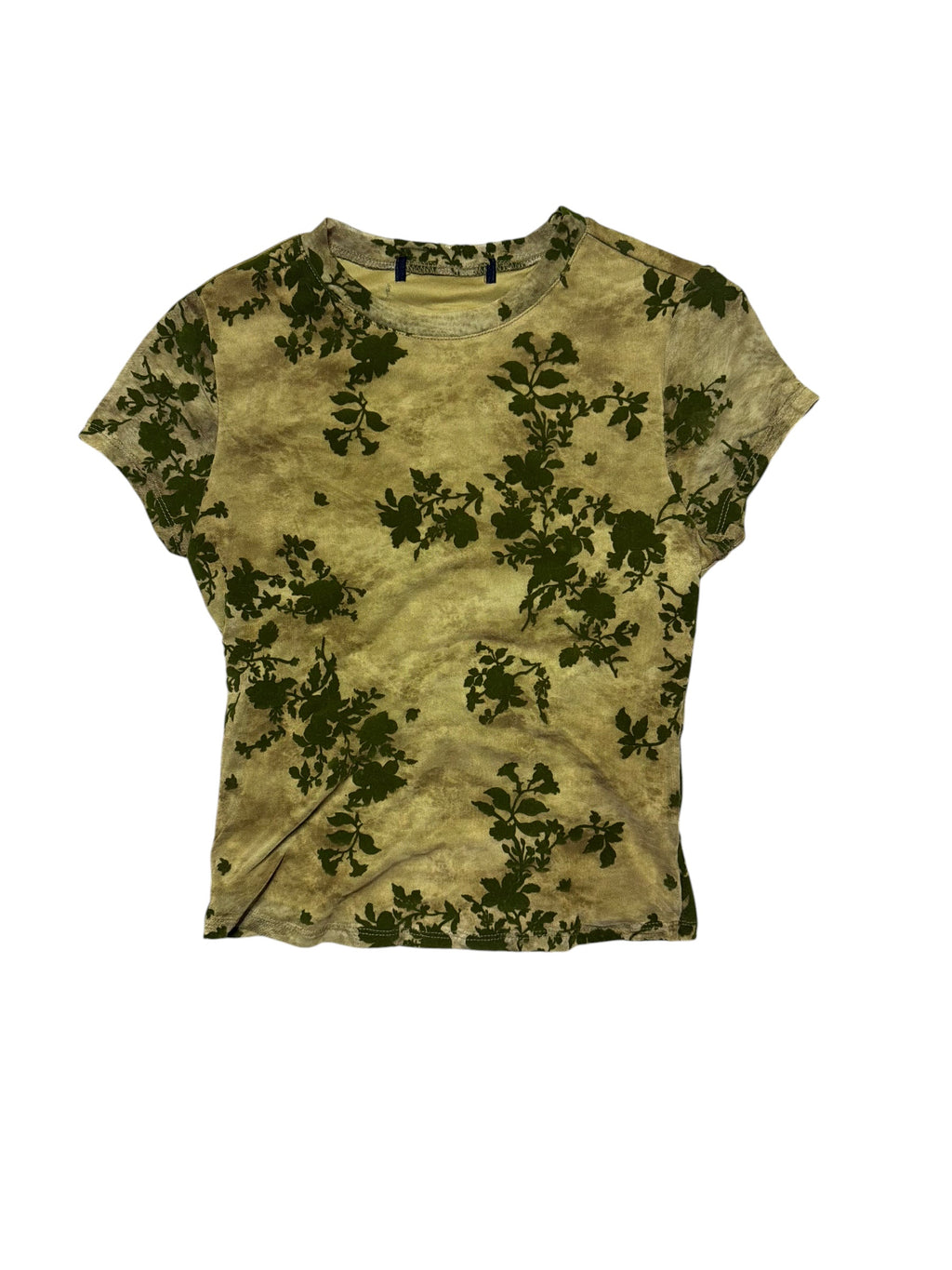 Sheer Velvet Plant top