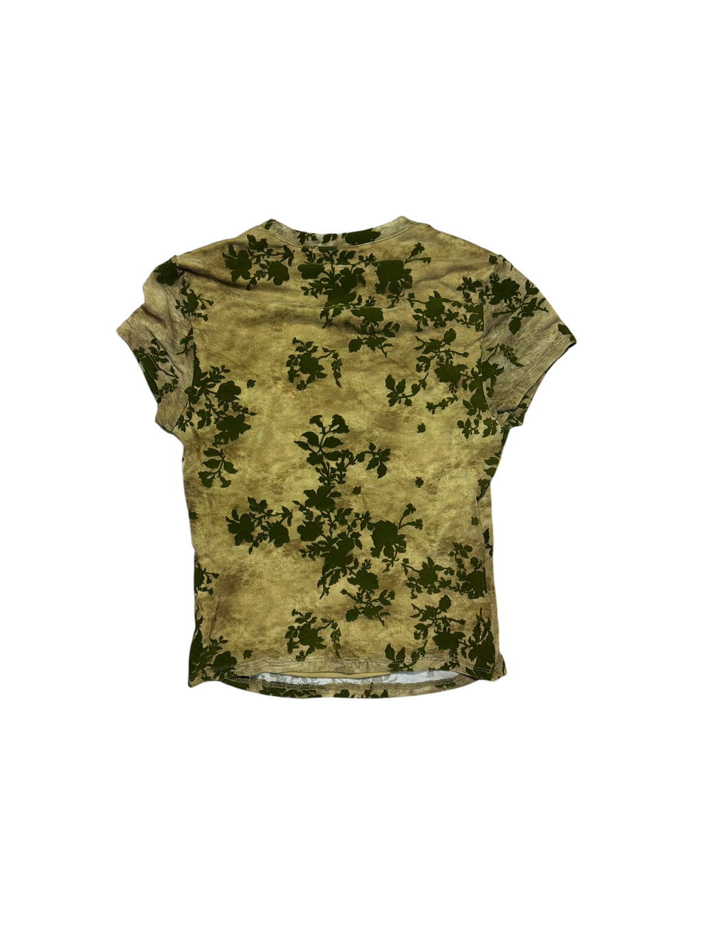 Sheer Velvet Plant top
