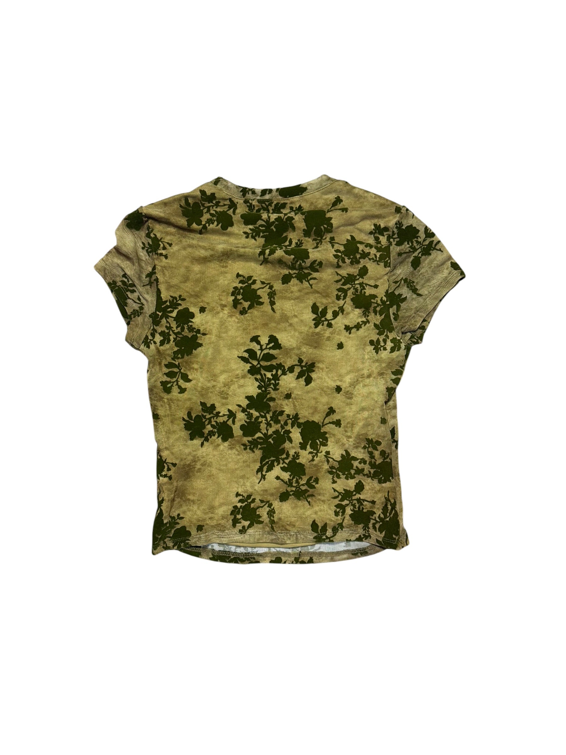 Sheer Velvet Plant top