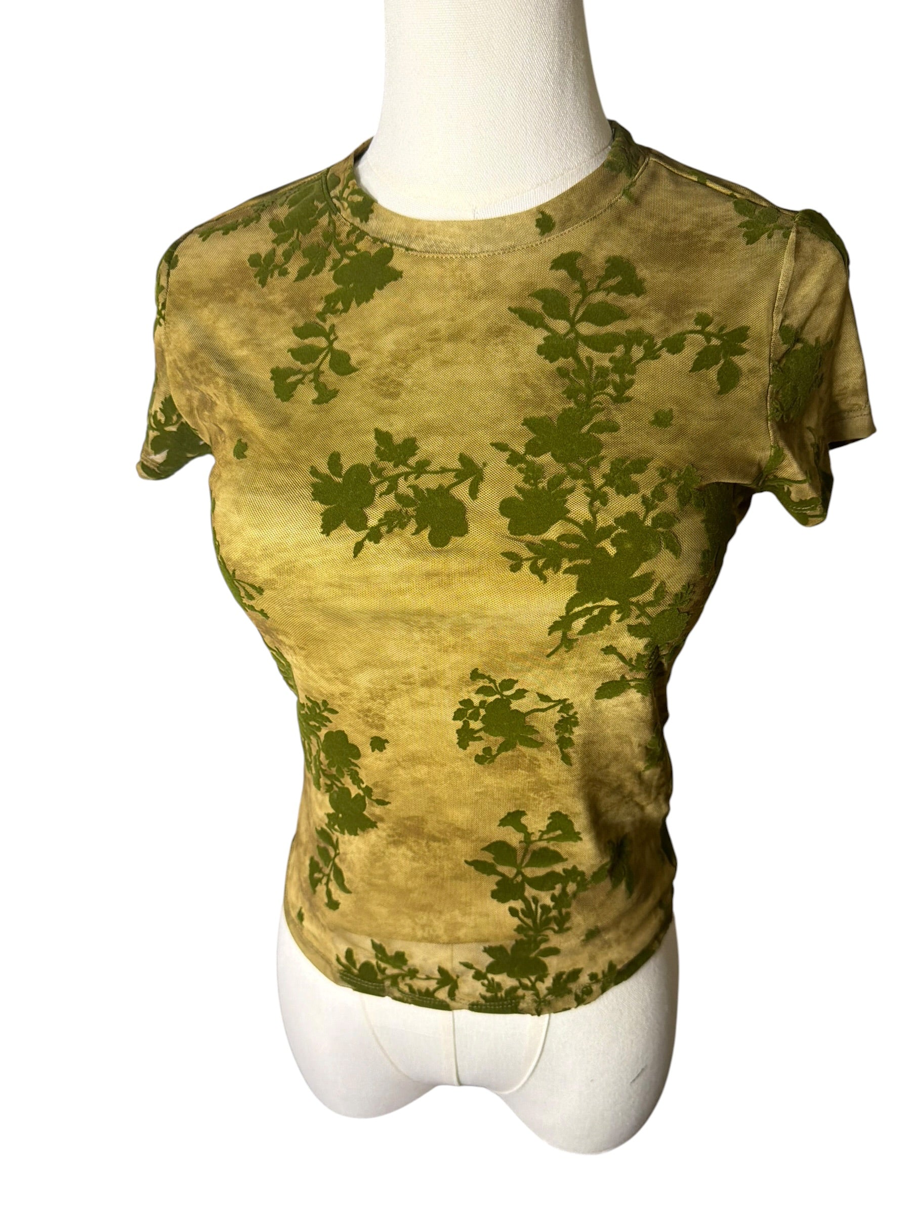 Sheer Velvet Plant top