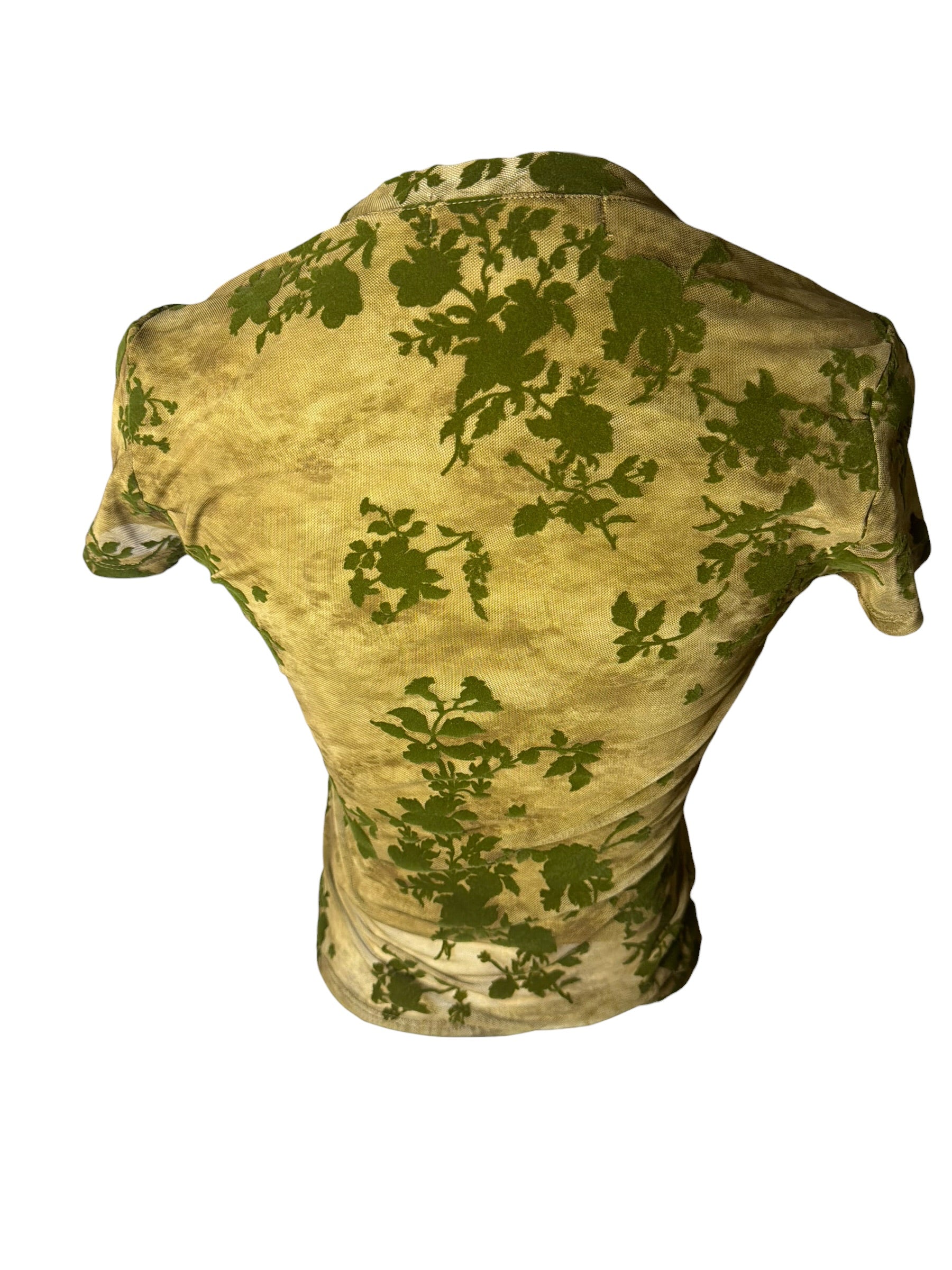 Sheer Velvet Plant top