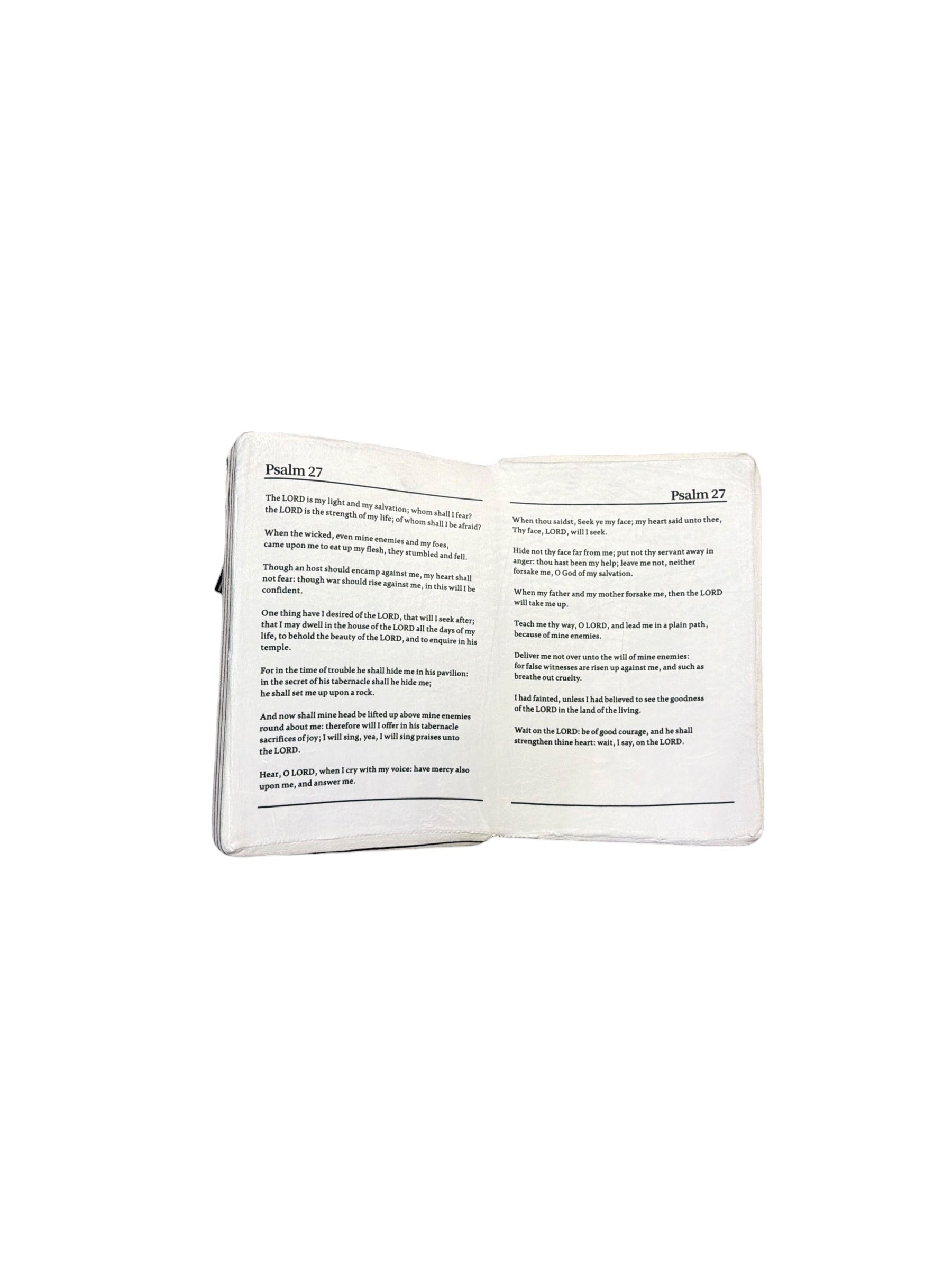 HOLY BIBLE PILLOW